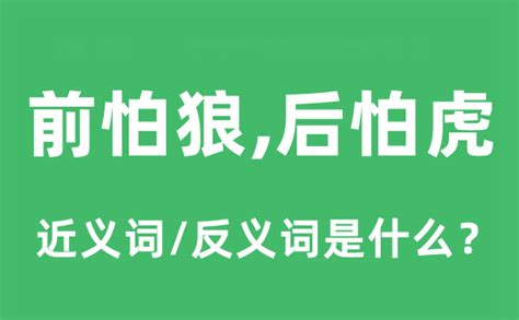 虎怕|虎刺怕Chutzpah是什么意思，它有什么作用？